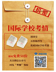 优质国际学校考情